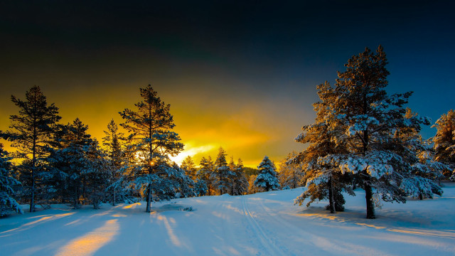 Snowy road trees sunset clouds #2 free wallpaper for desktop - medium preview image