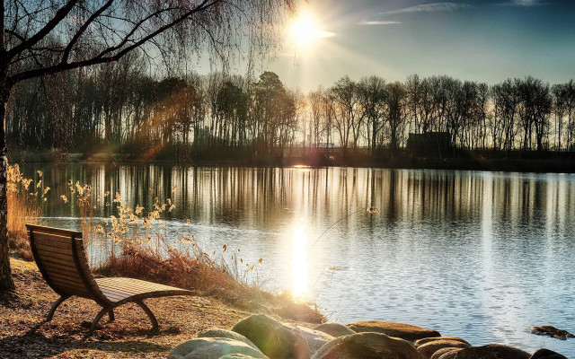 Lake shore bench tree bridge free wallpaper for desktop - medium preview image