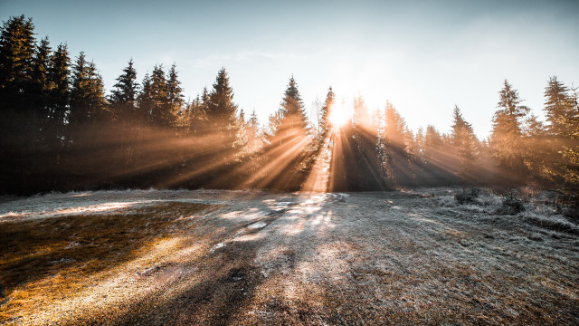 Sunbeam trees snow field lake free wallpaper for desktop - medium preview image