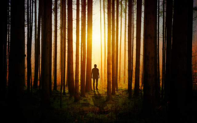 Man forest sunset sunshine figuration free wallpaper for desktop - medium preview image