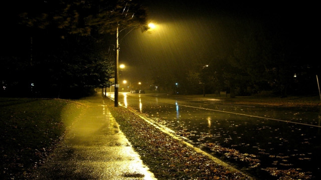 Wet street night streetlight pavement free wallpaper for desktop - medium preview image