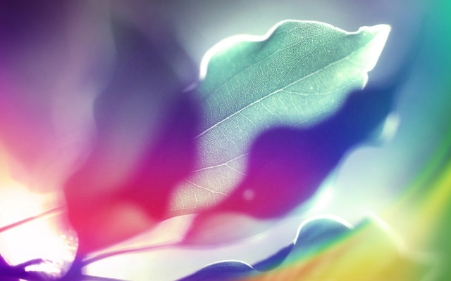 Leaf blurry rainbow background green free wallpaper for desktop - medium preview image