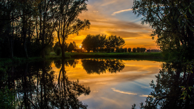 Sunset reflection trees lake forest free wallpaper for desktop - medium preview image