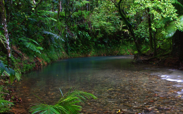 River forest blue pool trees free wallpaper for desktop - medium preview image