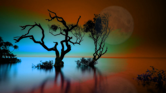 Mystical bamboo tree lake moon free wallpaper for desktop - medium preview image
