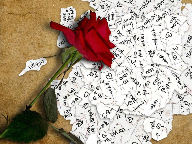 Rose letters numbers table pile free wallpaper for desktop - medium preview image
