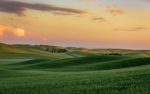 Green field sunset clouds trees free wallpaper for desktop - medium preview image