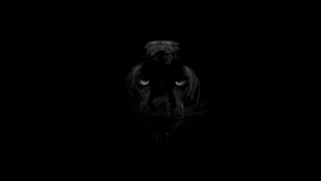 Black panther green eyes dark #3 free wallpaper for desktop - medium preview image