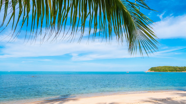 Beach palm trees water boats free wallpaper for desktop - medium preview image