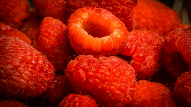 Raspberries ring autumn flame closeup free wallpaper for desktop - medium preview image