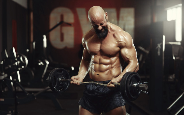 Bearded male gym muscular baroil free wallpaper for desktop - medium preview image