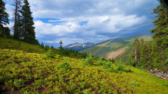 Rainbow over grassy hill ecological free wallpaper for desktop - medium preview image
