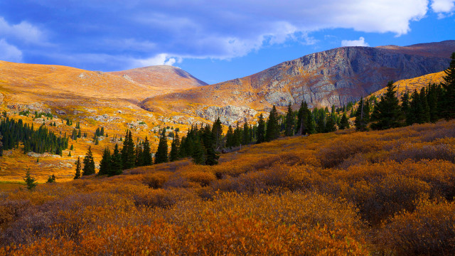 Mountain range trees sky clouds free wallpaper for desktop - medium preview image