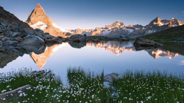 Mountain lake flower grass forest free wallpaper for desktop - medium preview image