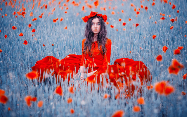 Woman red dress flower field #4 free wallpaper for desktop - medium preview image