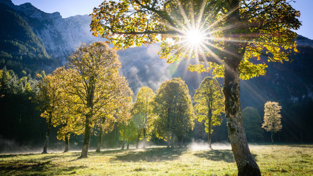 Field trees sunshine mountains fog free wallpaper for desktop - medium preview image