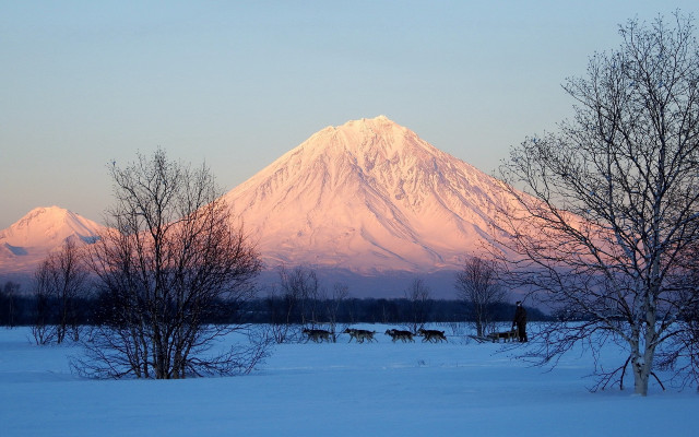 Mountain forest lake cherry blossoms free wallpaper for desktop - medium preview image