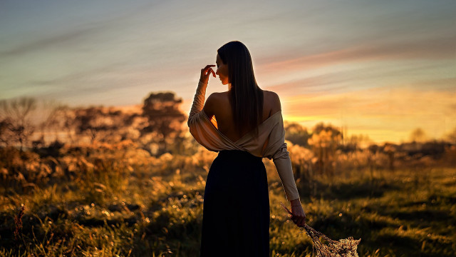 Woman dress field dog sunset free wallpaper for desktop - medium preview image
