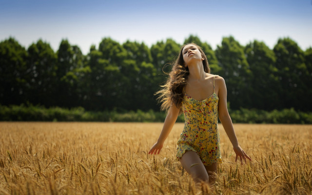 Woman yellow dress wheat sky free wallpaper for desktop - medium preview image