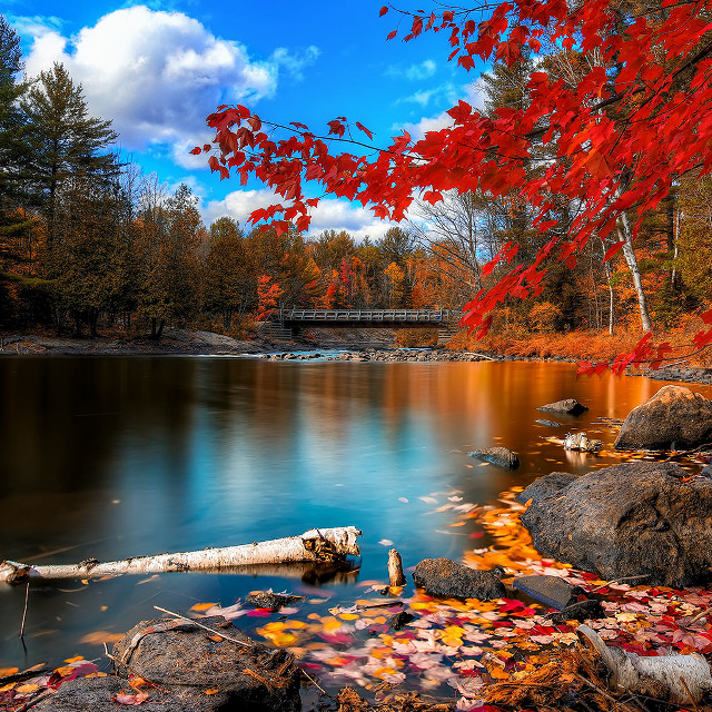Autumn lake red leaves bridge free wallpaper for tablet - medium preview image