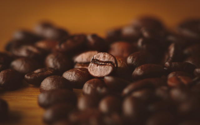 Coffee beans tilt shift bokeh free wallpaper for desktop - medium preview image
