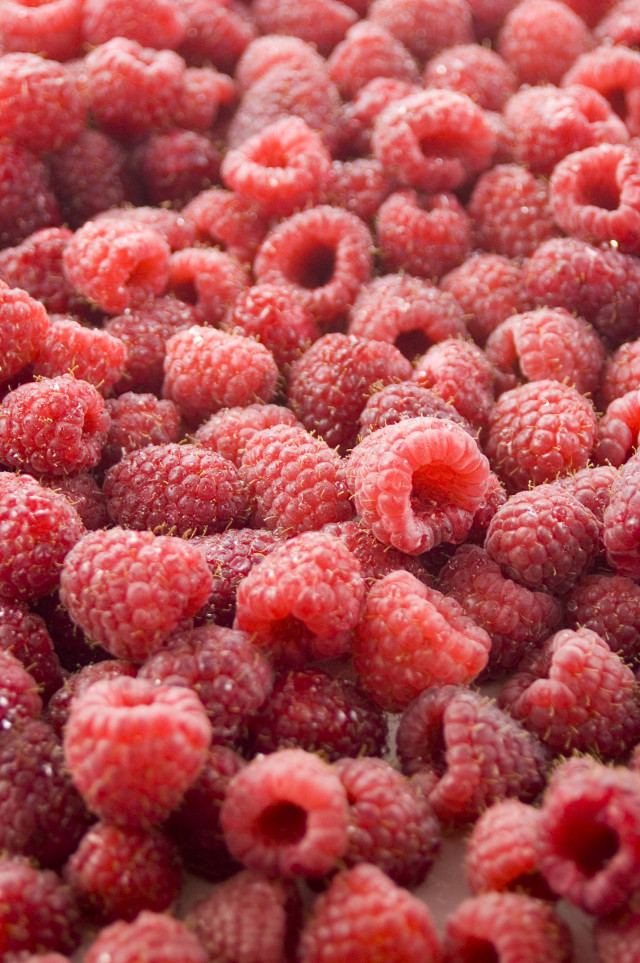 Raspberries closeup water droplets white free wallpaper for mobile - medium preview image