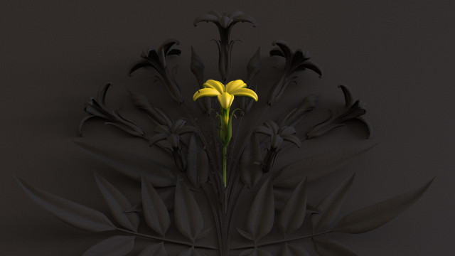 Yellow flower black vase shadow free wallpaper for desktop - medium preview image