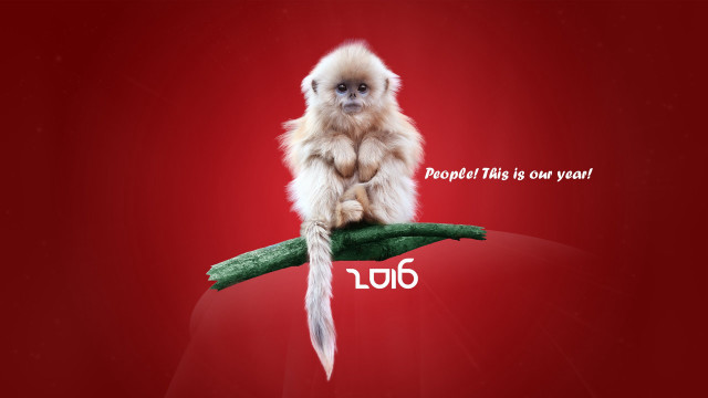 Monkey owl bird feathers flag free wallpaper for desktop - medium preview image