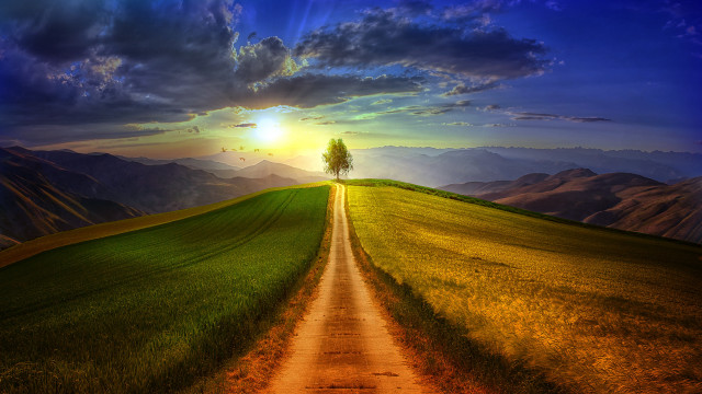 Dirt road green field lone #3 free wallpaper for desktop - medium preview image