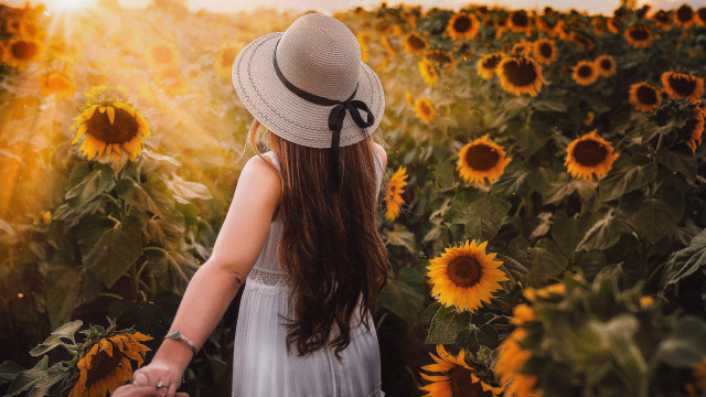 Girl hat sunflowers autumn fireworks free wallpaper for desktop - medium preview image
