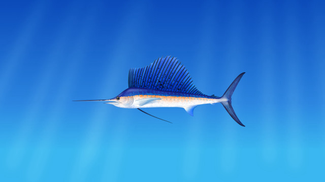 Blue sailfish ocean sunbeams photorealism free wallpaper for desktop - medium preview image