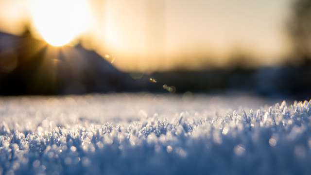 Snowy field sunshine trees building free wallpaper for desktop - medium preview image