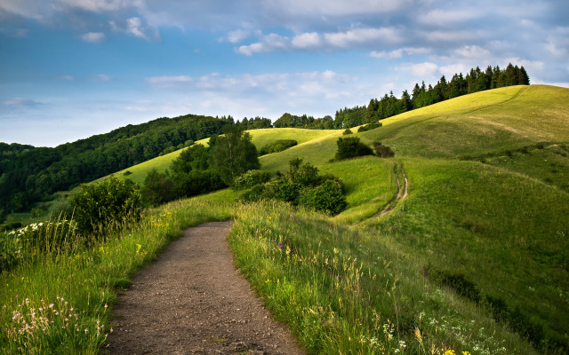 Lush green hillside path nature free wallpaper for desktop - medium preview image