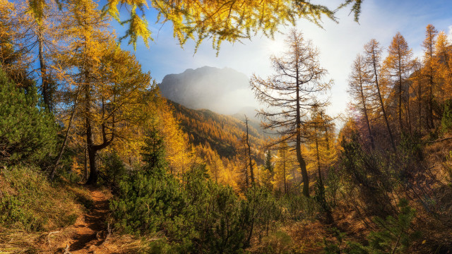Mountain forest trail autumn nature free wallpaper for desktop - medium preview image