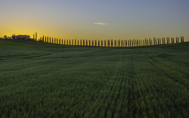 Field grass trees sunset house free wallpaper for desktop - medium preview image