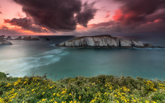 Sunset rocky beach yellow flowers free wallpaper for desktop - medium preview image