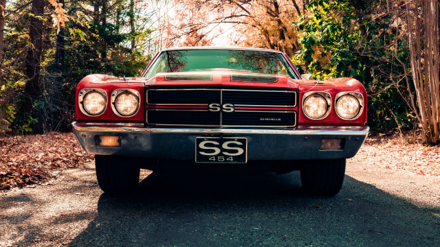 Red car forest sunny anamorphic free wallpaper for desktop - medium preview image