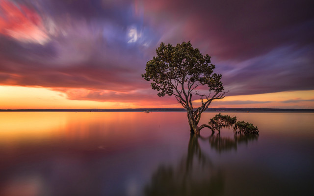 Lone tree lake sunset colorful #3 free wallpaper for desktop - medium preview image