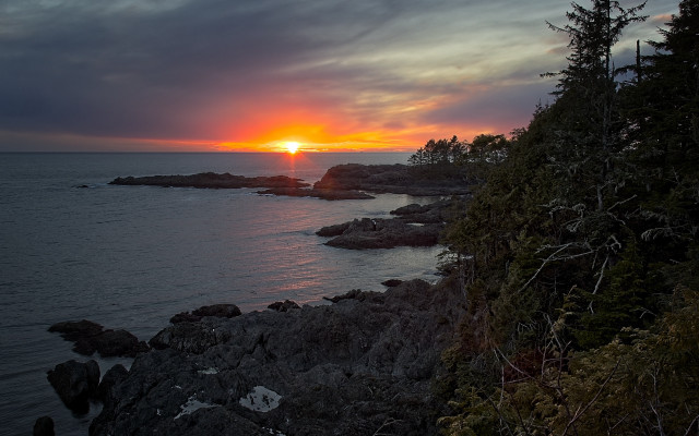 Sunset rocky shore trees water free wallpaper for desktop - medium preview image