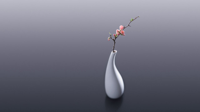White vase flower minimalism 3d free wallpaper for desktop - medium preview image