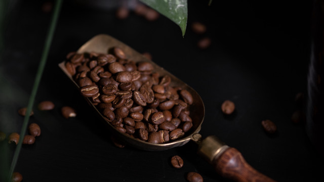 Coffee beans green leaf bottle free wallpaper for desktop - medium preview image