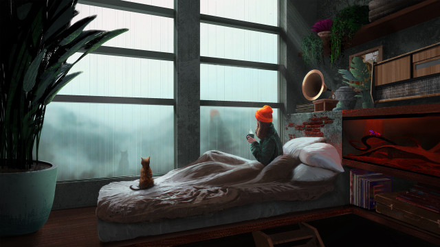 Cat bed room window fox free wallpaper for desktop - medium preview image