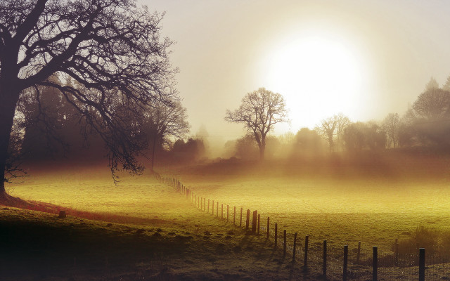 Field fence tree sun fog free wallpaper for desktop - medium preview image