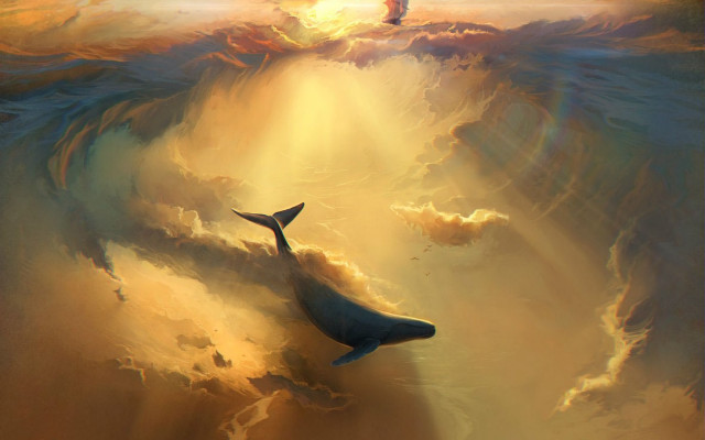 Whale ocean bird sky dusk free wallpaper for desktop - medium preview image