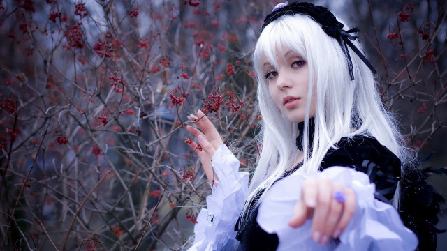 Alice prin white hair gothic free wallpaper for desktop - medium preview image