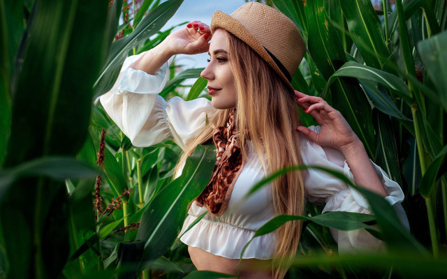 Woman hat scarf cornfield hands free wallpaper for desktop - medium preview image