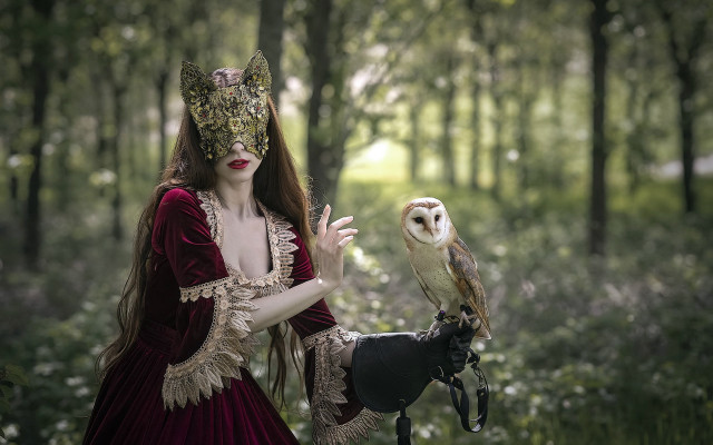 Woman red dress owl forest free wallpaper for desktop - medium preview image