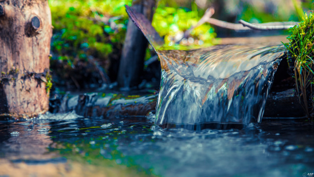 Forest stream water wooden pole free wallpaper for desktop - medium preview image