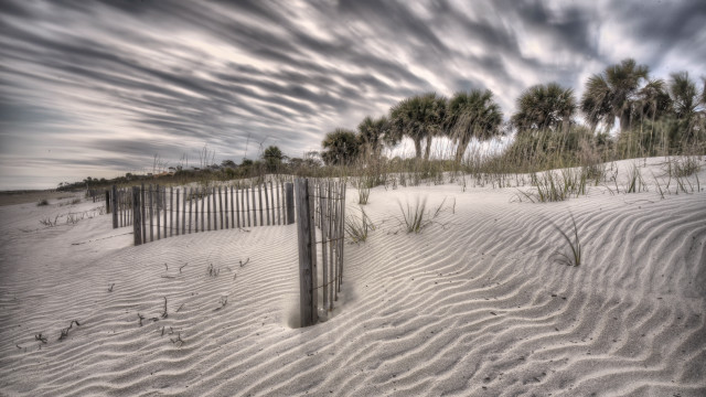 Fence sand dunes palm trees free wallpaper for desktop - medium preview image