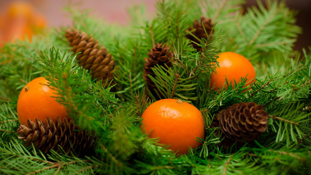 Pine orange cones ornamental folk free wallpaper for desktop - medium preview image